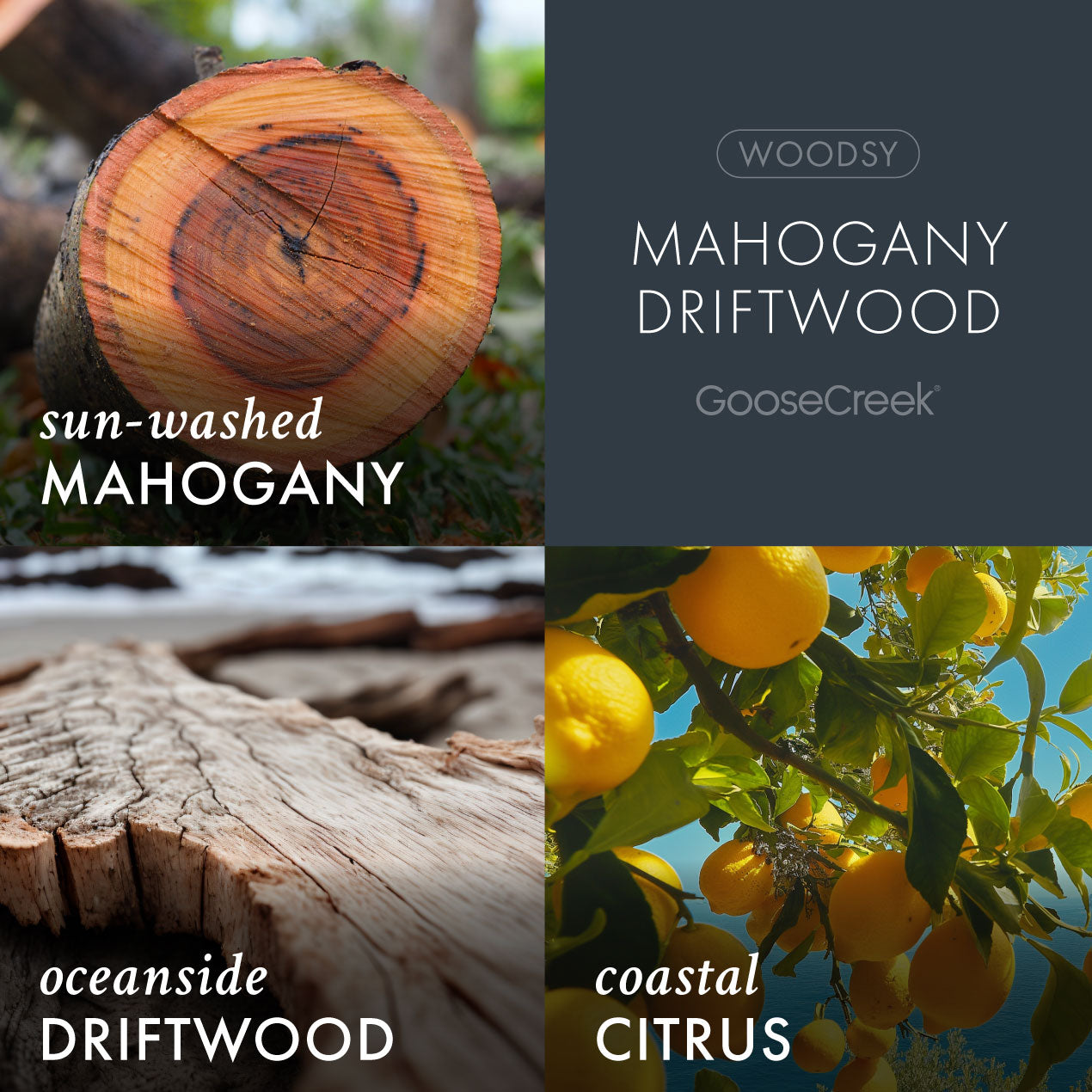 Goose Creek Mahogany Driftwood 3-Wick Scented Candle